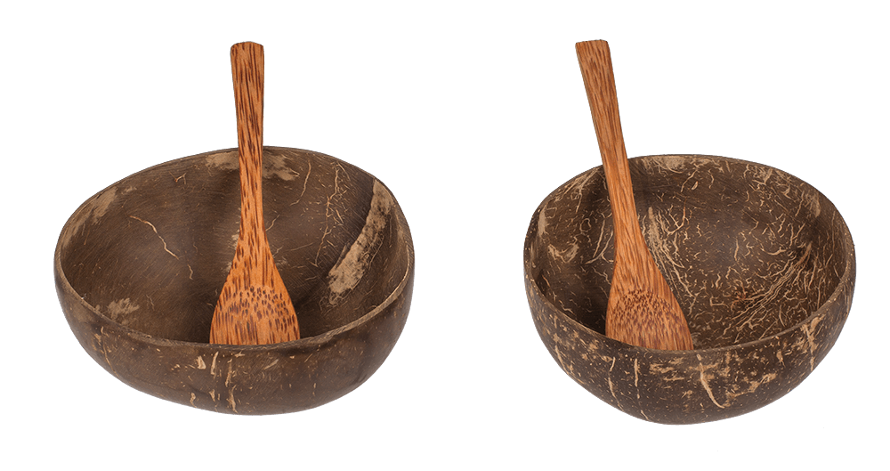 Coconut Bowl, set of 2 with 2 spoons,