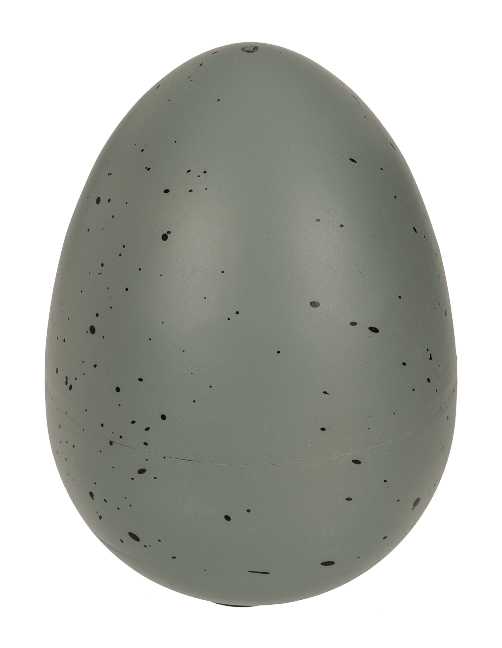 Growing dinosaur in egg,