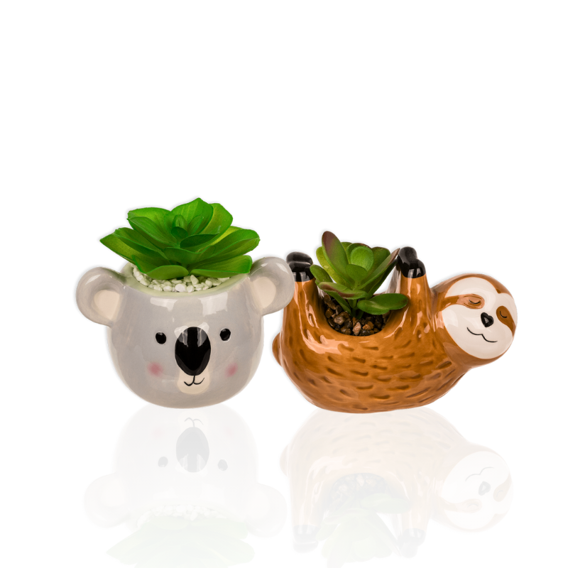 Decoration Plants & Pots