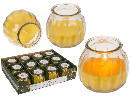 Citronella candle in glass,