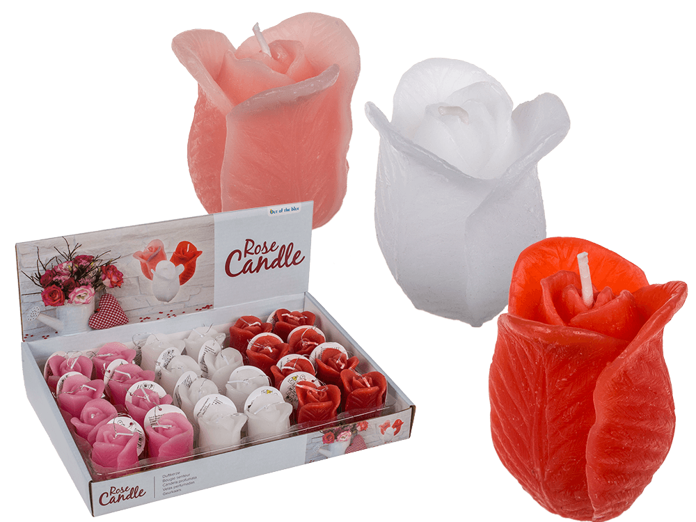 Candle, Rose,