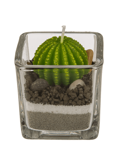 Candle in glass, Cactus with sand & stone deco,