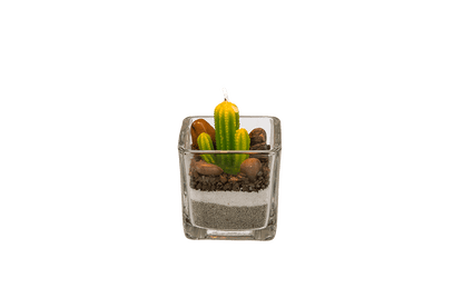 Candle in glass, Cactus with sand & stone deco,
