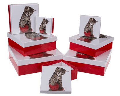Red/white gift boxes, Cat,