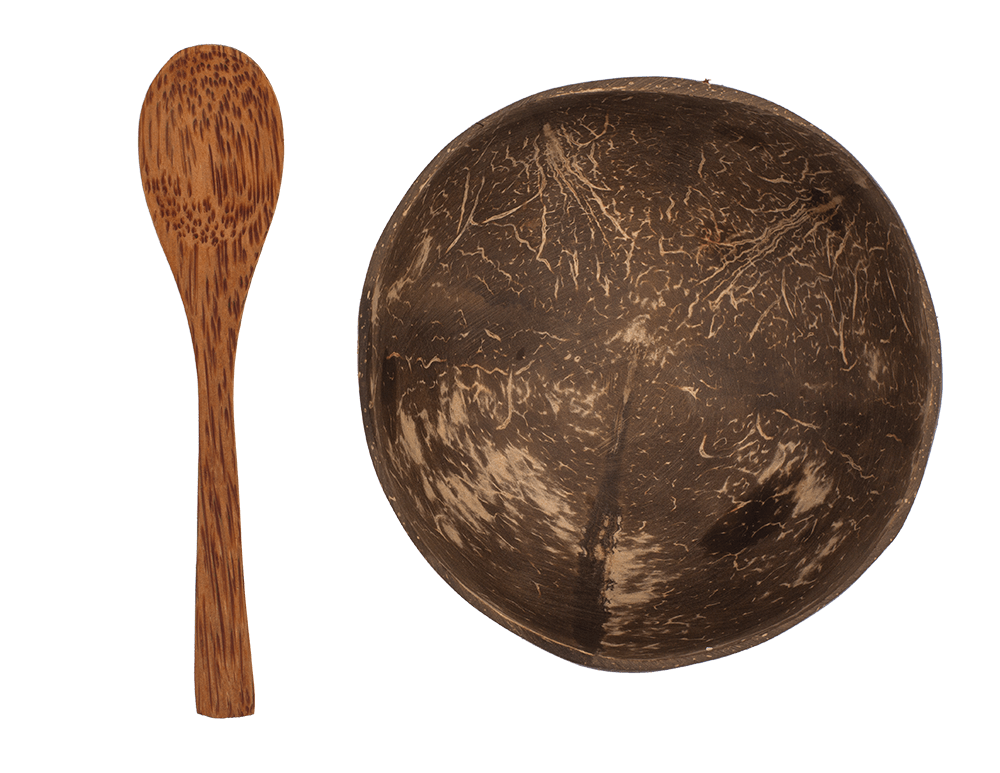 Coconut Bowl, set of 2 with 2 spoons,