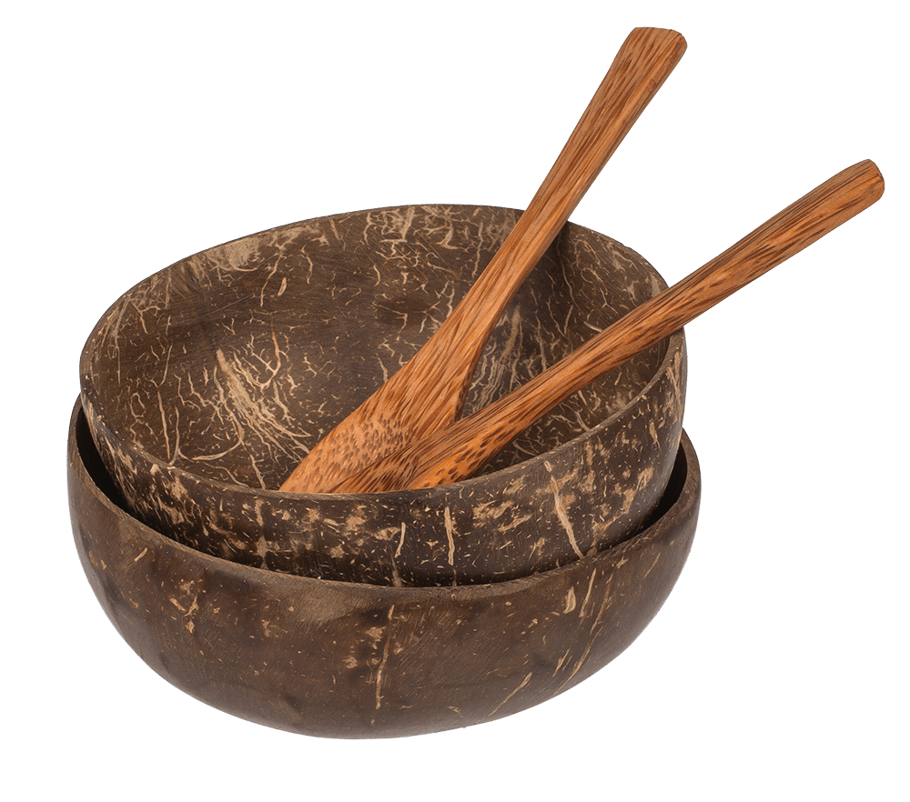 Coconut Bowl, set of 2 with 2 spoons,