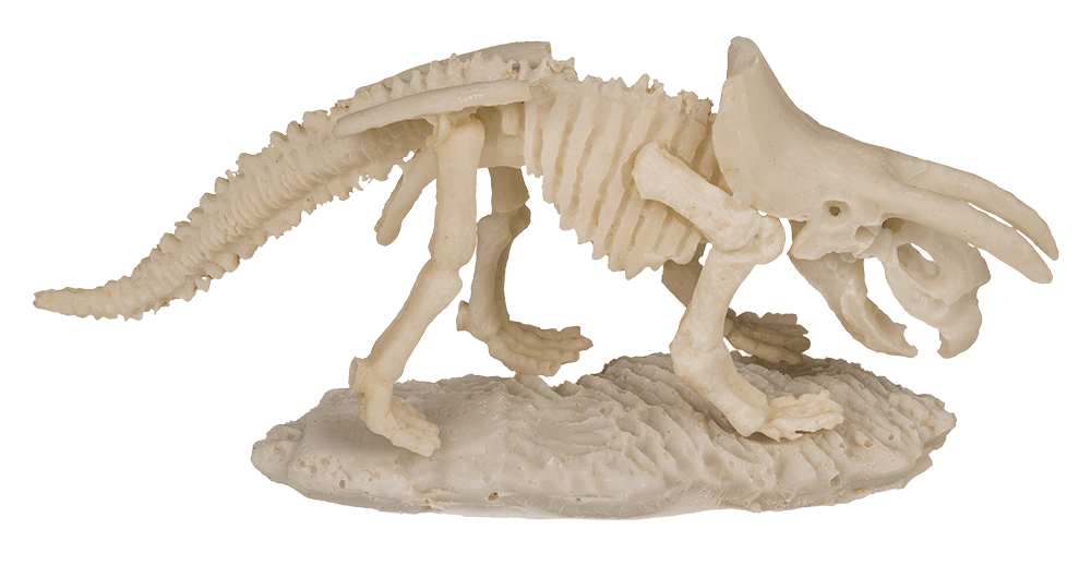 Excavation kit, Dinosaur Skeleton,