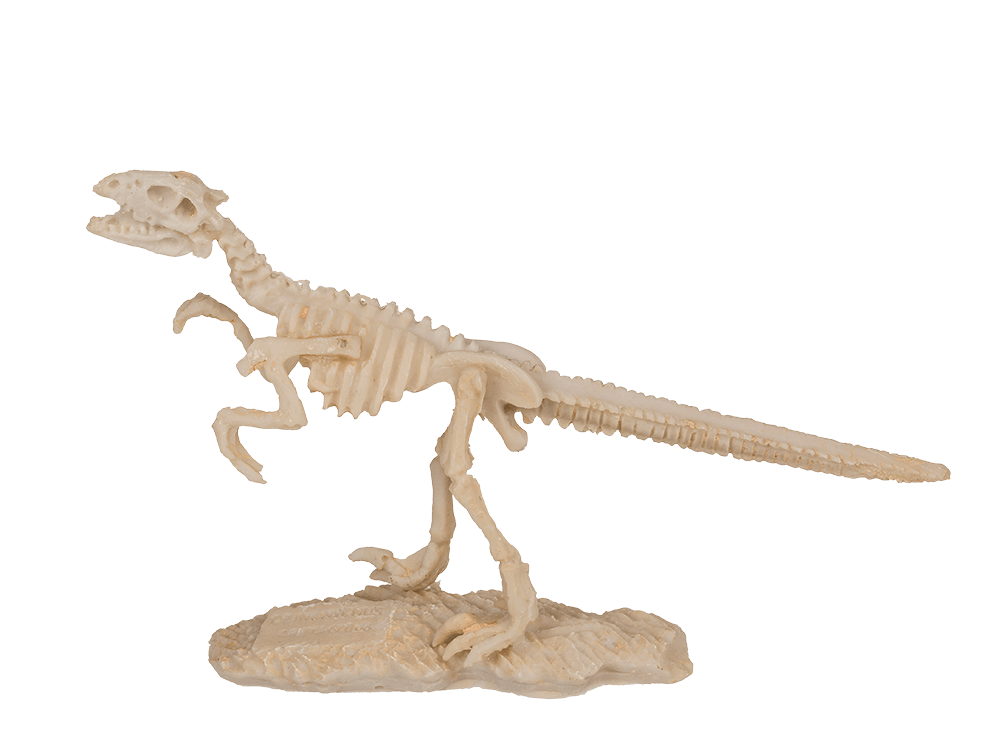 Excavation kit, Dinosaur Skeleton,
