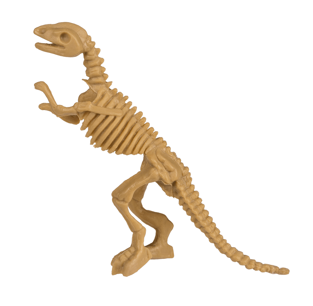Excavation kit, Dinosaur Skeleton,