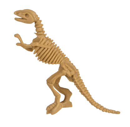 Excavation kit, Dinosaur Skeleton,