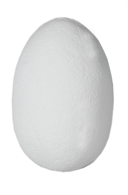 Hatching dinosaur in fizzy egg,