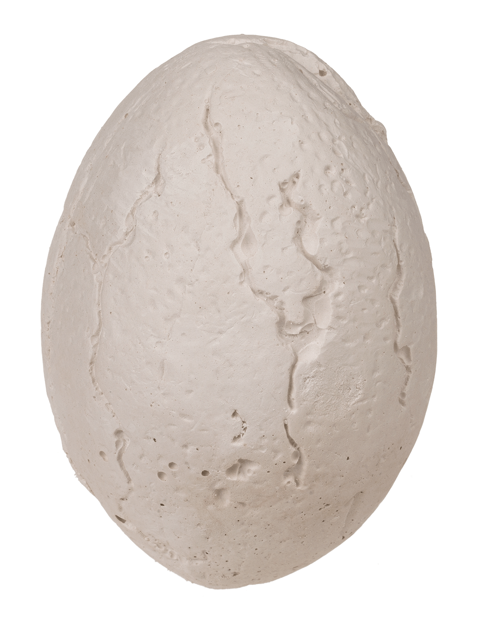 Excavation set, Dinosaur,