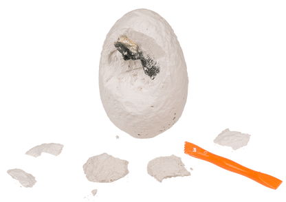 Excavation set, Dinosaur,