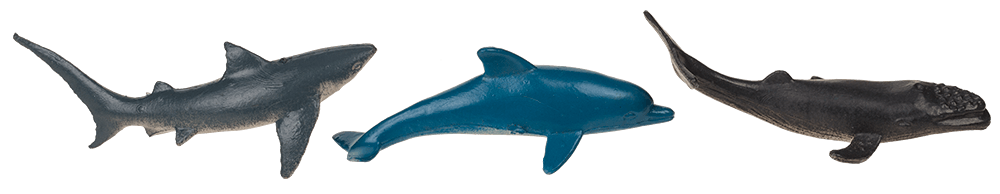 Excavation set, Sea-Life,