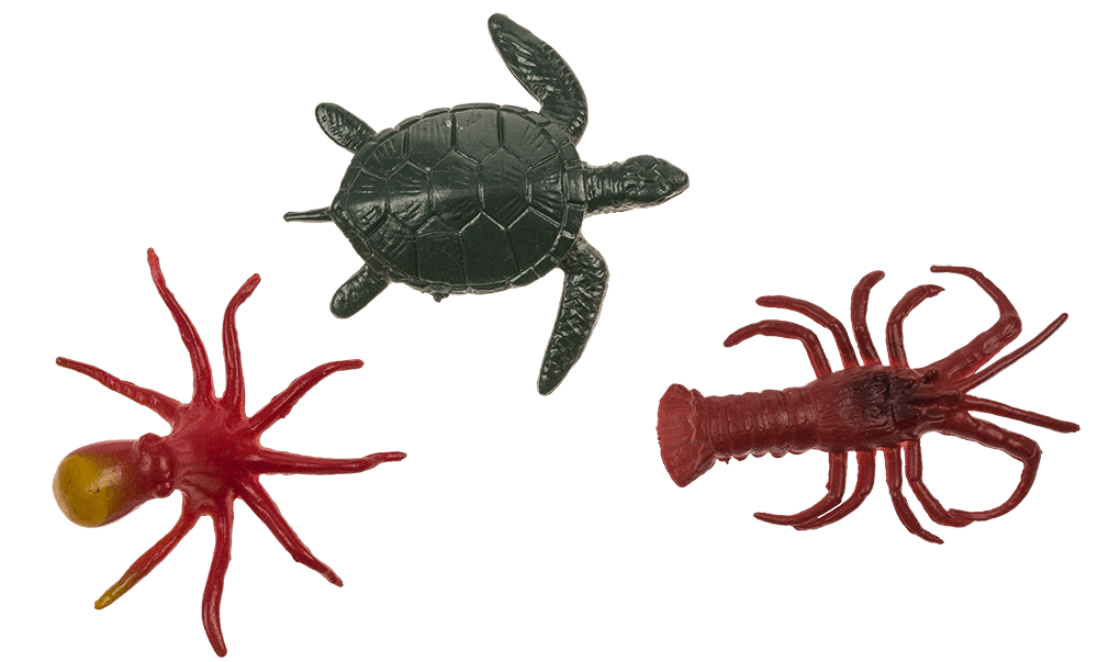 Excavation set, Sea-Life,