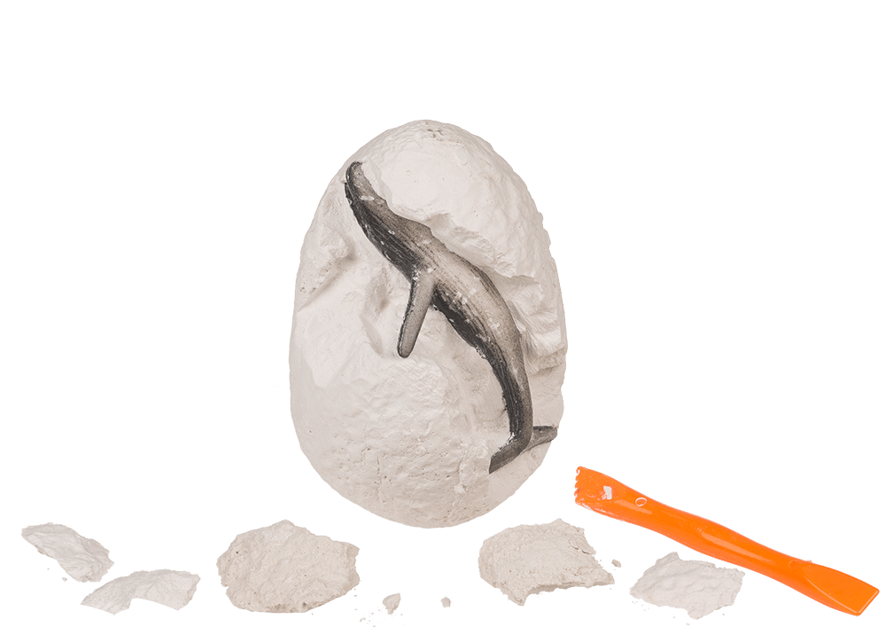 Excavation set, Sea-Life,