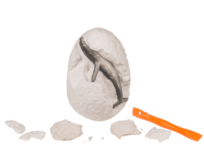 Excavation set, Sea-Life,