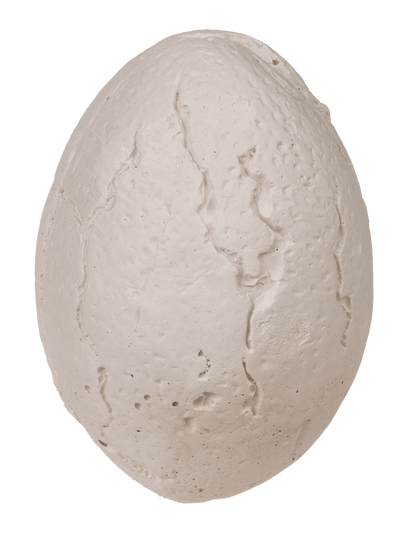 Excavation set, Wild Animals,