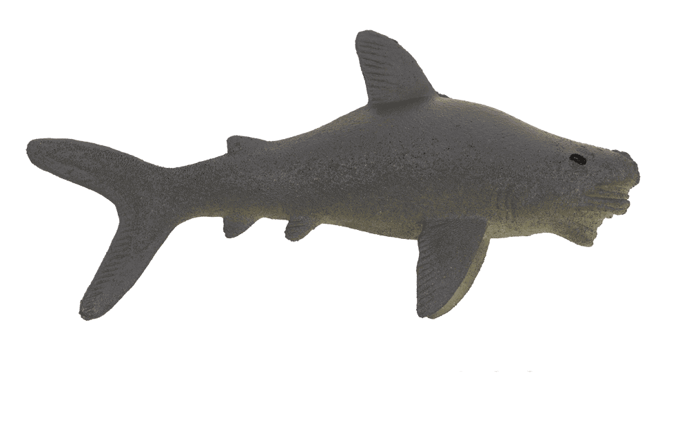 Growing Sea Animals, 10 cm,