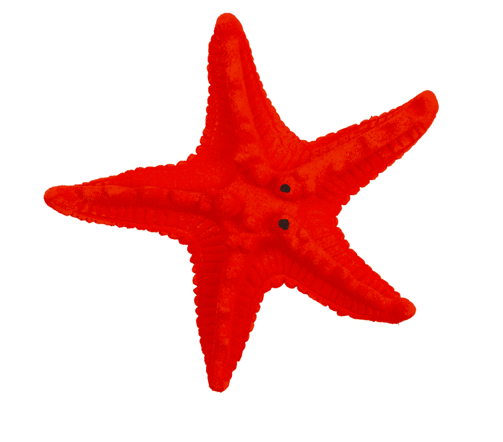 Growing Sea Animals, 10 cm,