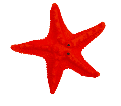 Growing Sea Animals, 10 cm,