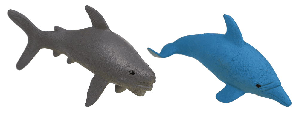 Growing Sea Animals, 10 cm,