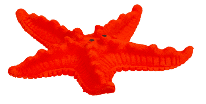 Growing Sea Animals, 10 cm,