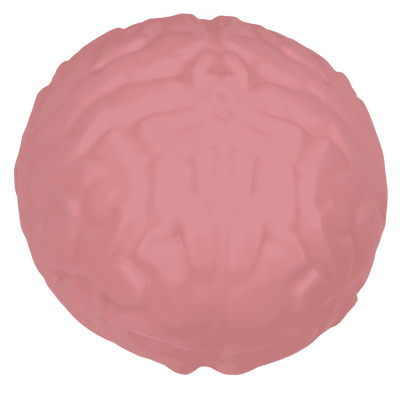 XL Squeeze Brain, 15,5 cm,