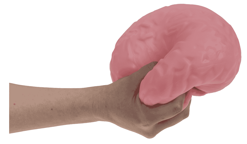 XL Squeeze Brain, 15,5 cm,