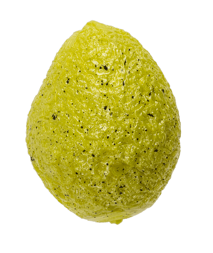 squeeze egg with dinosaur,