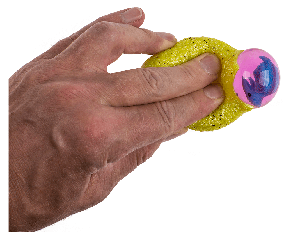 squeeze egg with dinosaur,