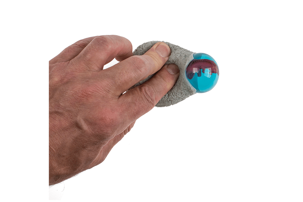 squeeze egg with dinosaur,