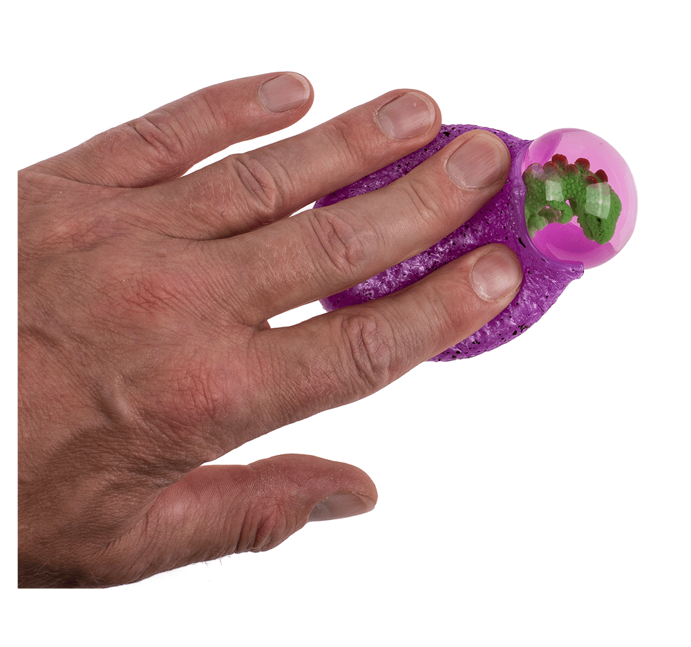 squeeze egg with dinosaur,