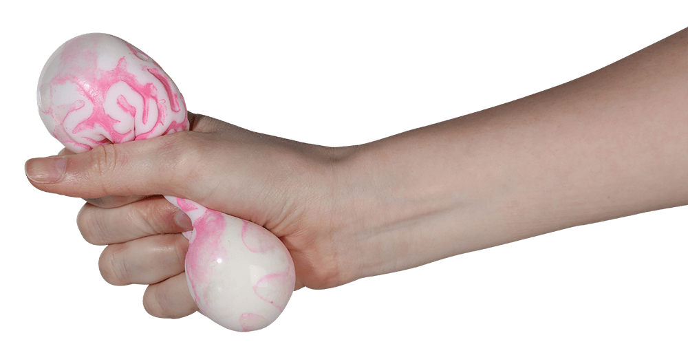 Squeeze ball, Brain,