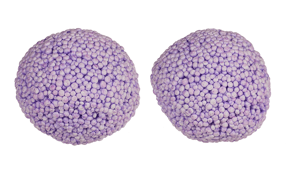 Colour changing foam putty, Sea Horse and Octopus,