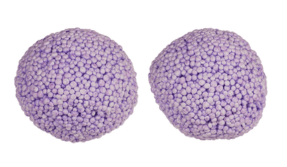 Colour changing foam putty, Sea Horse and Octopus,