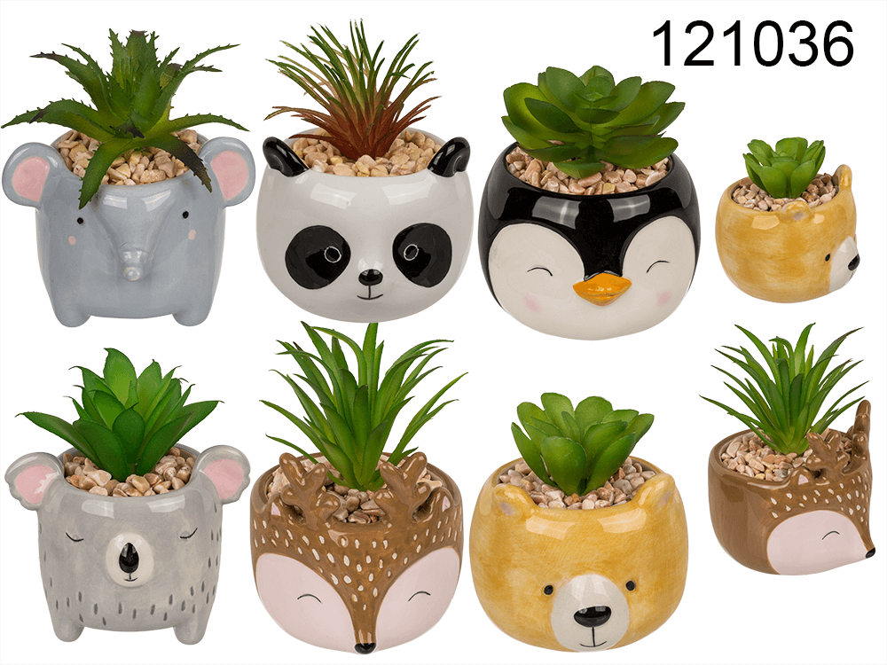 Decoration succulent in pot, Animals,