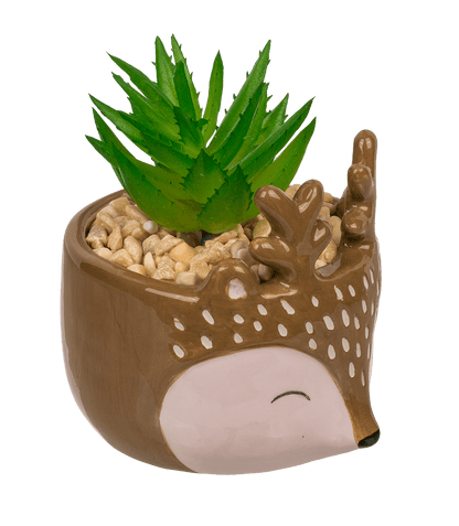Decoration succulent in pot, Animals,