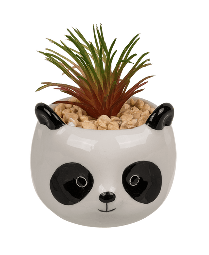 Decoration succulent in pot, Animals,