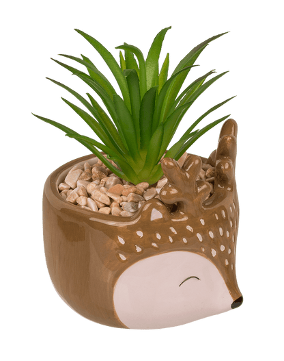 Decoration succulent in pot, Animals,