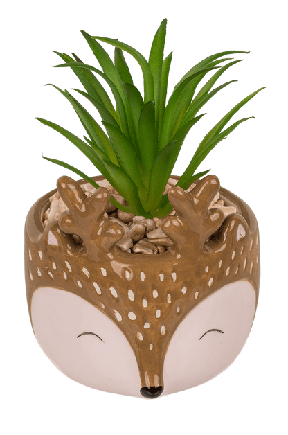 Decoration succulent in pot, Animals,