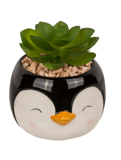 Decoration succulent in pot, Animals,
