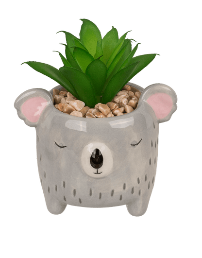 Decoration succulent in pot, Animals,