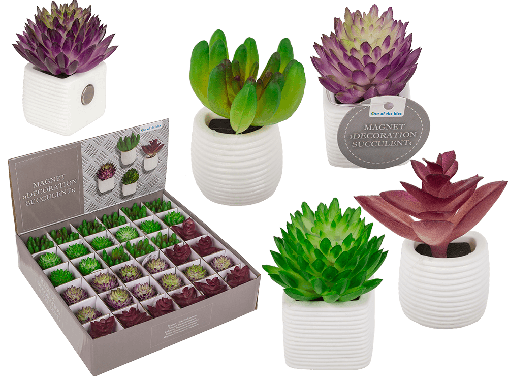 Magnet, succulent in white pot,