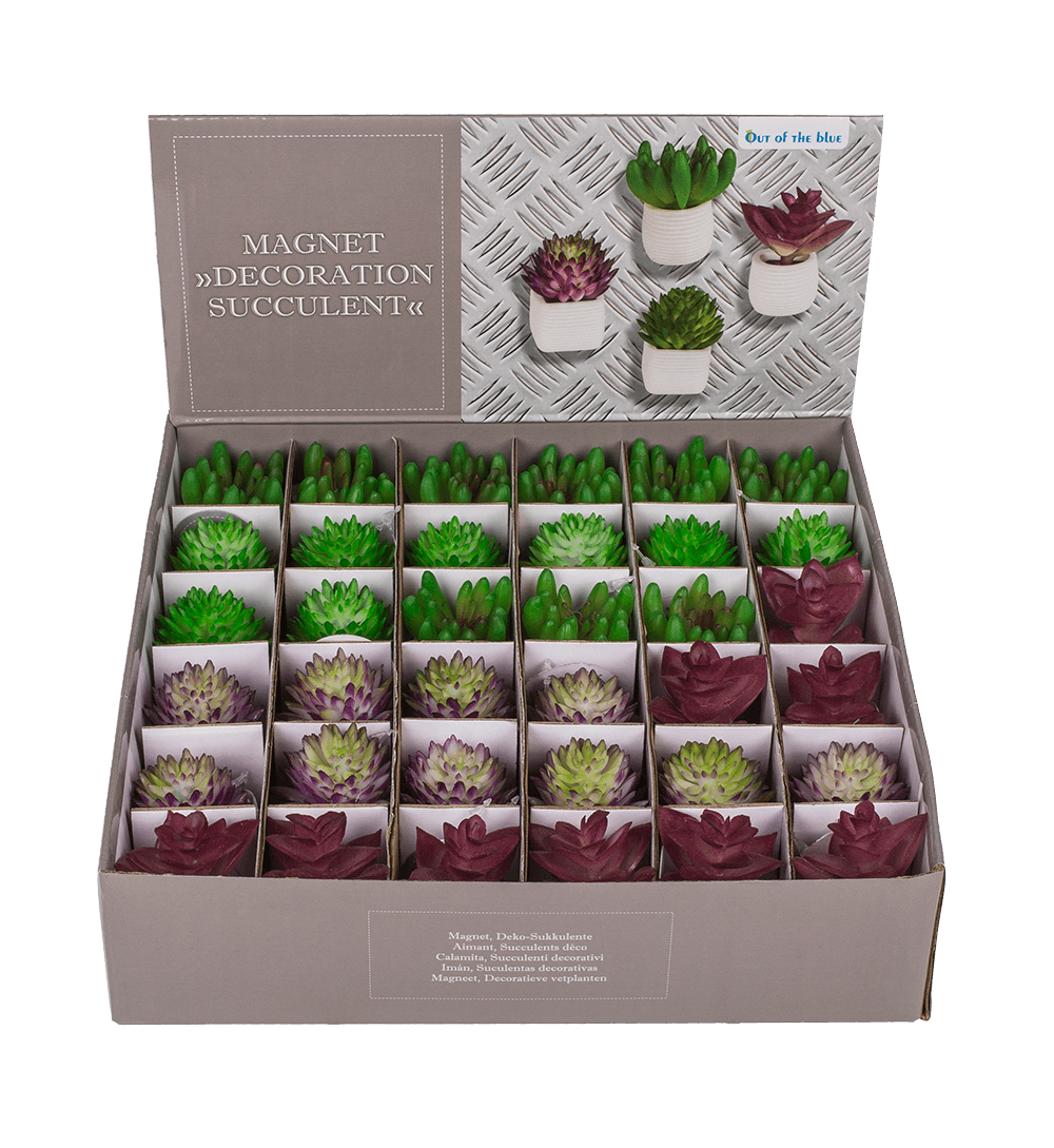 Magnet, succulent in white pot,