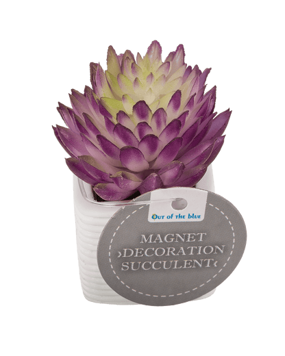 Magnet, succulent in white pot,