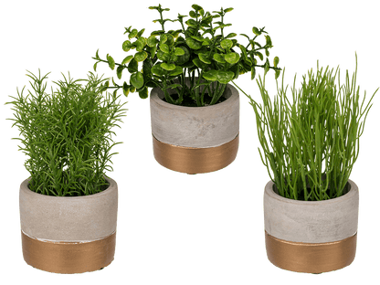 Decoration herbs in grey/gold coloured cement pot,