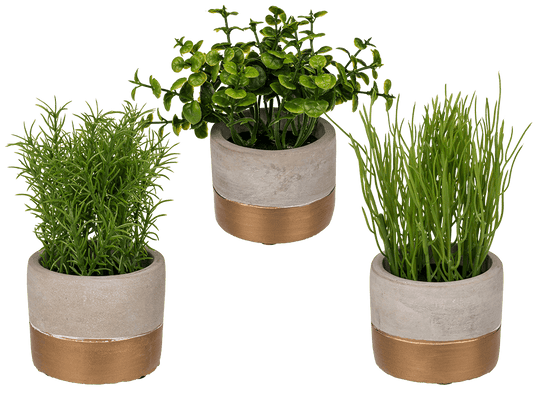 Decoration herbs in grey/gold coloured cement pot,