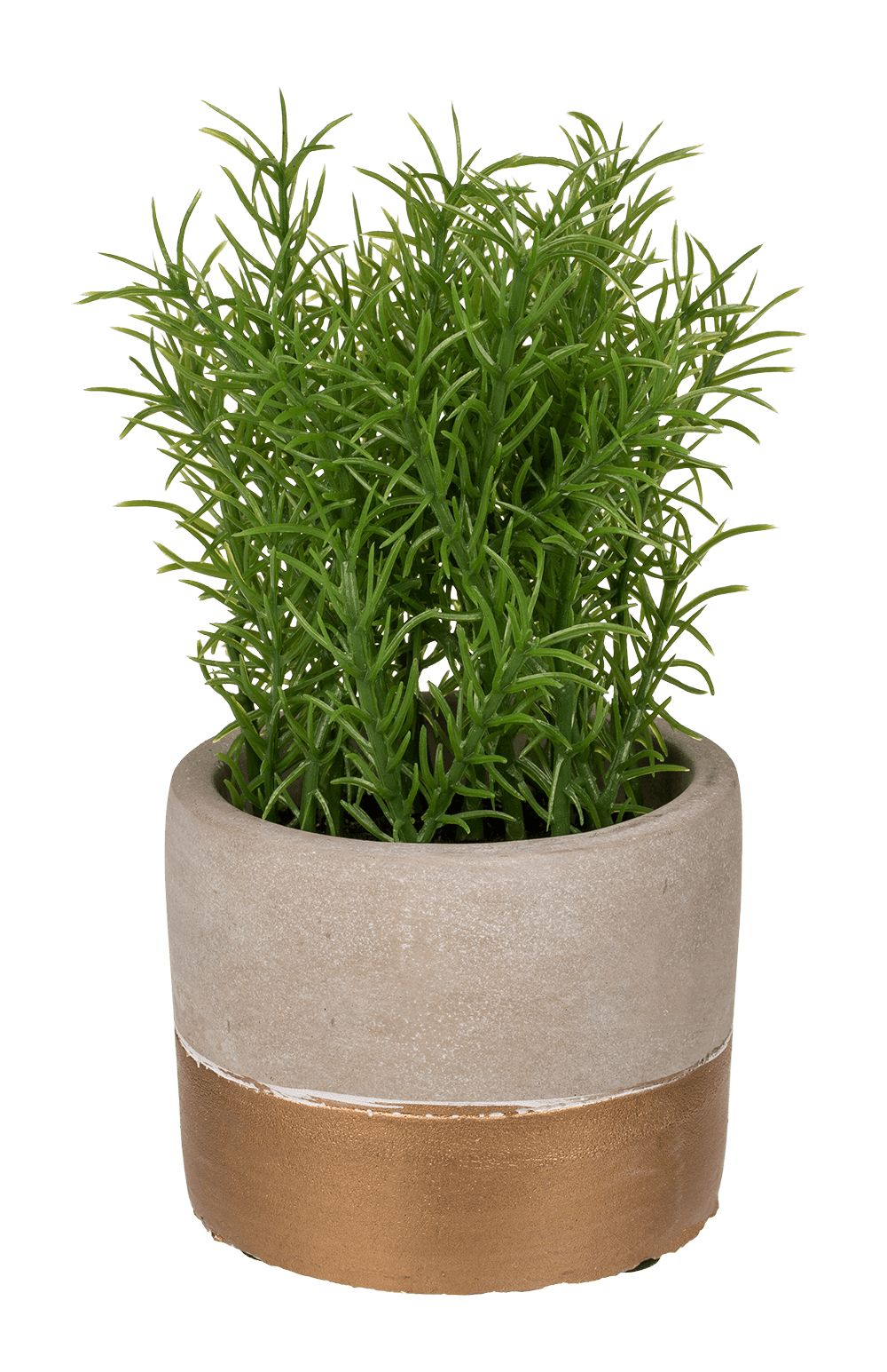 Decoration herbs in grey/gold coloured cement pot,