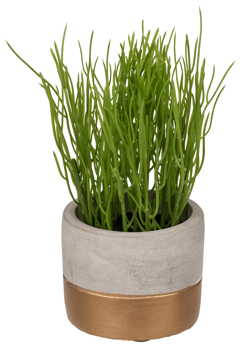 Decoration herbs in grey/gold coloured cement pot,